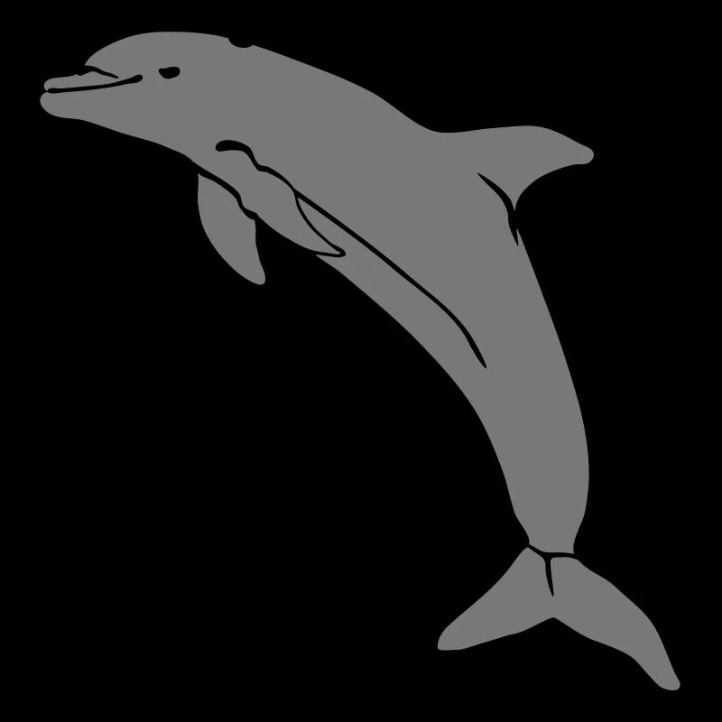 springender Delphin jumping dolphin