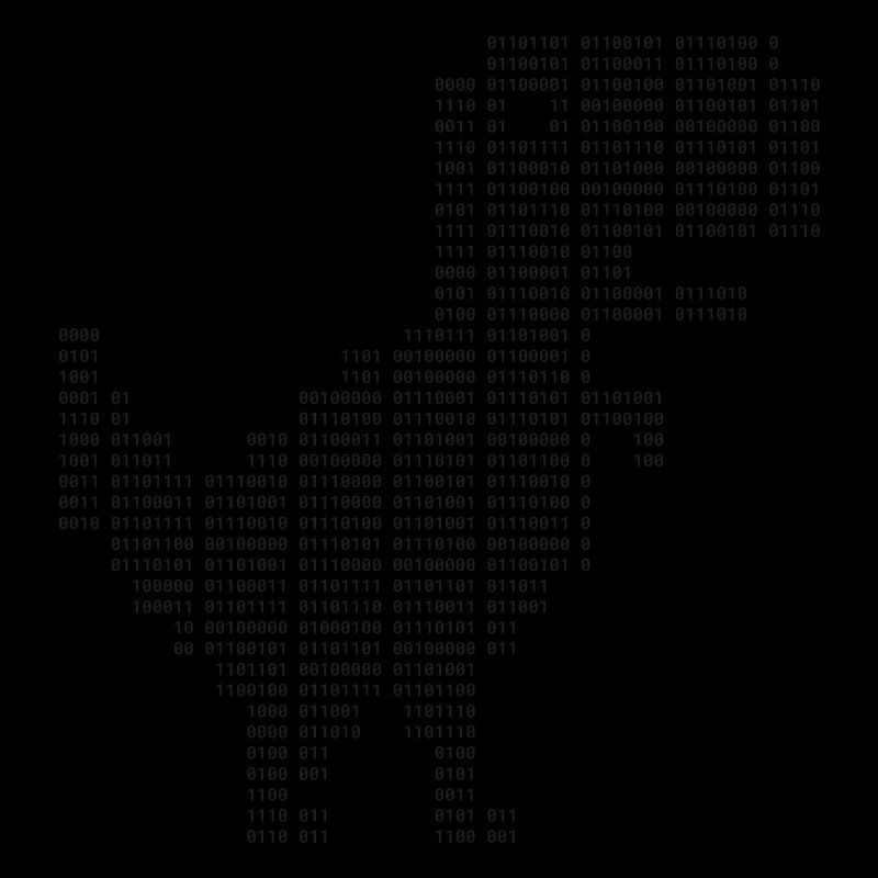 Dinosaur Binary | Google dinosaur | 404 | T-rex |