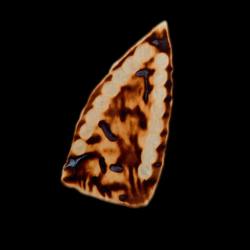 Fireprint de fer drôle a échoué