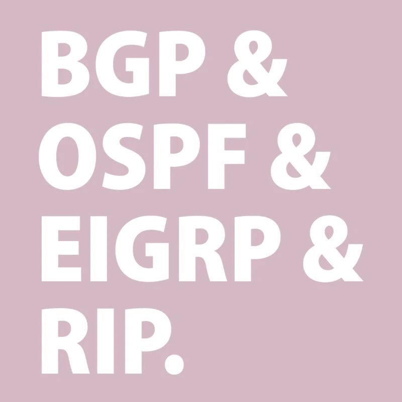 BGP & OSPF & EIGRP & RIP.