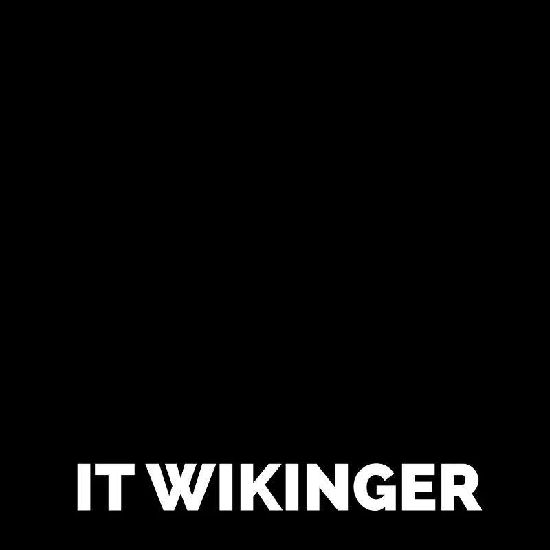 IT Wikinger 2