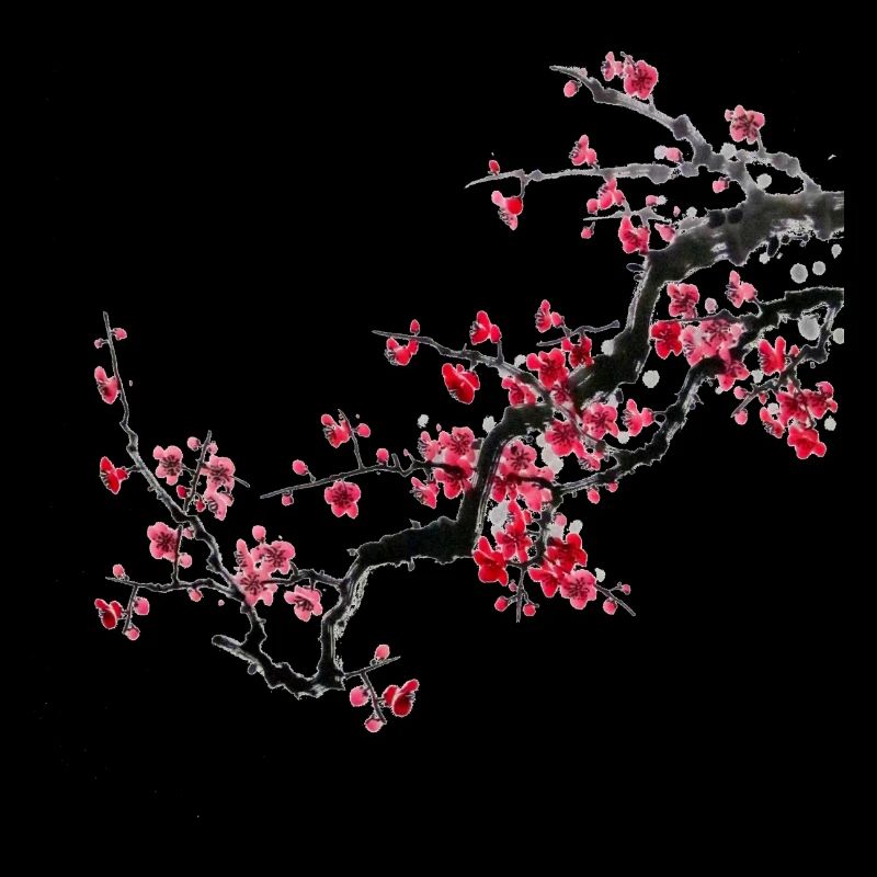 Japan Kirschbaum