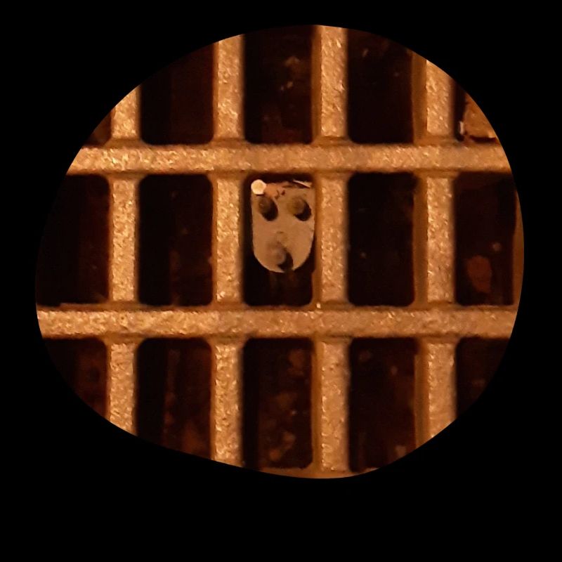 I see faces - I see faces '19