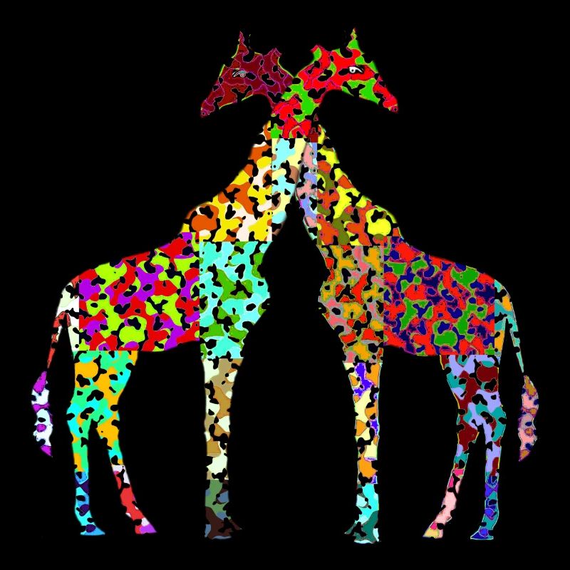 Zwei Giraffen