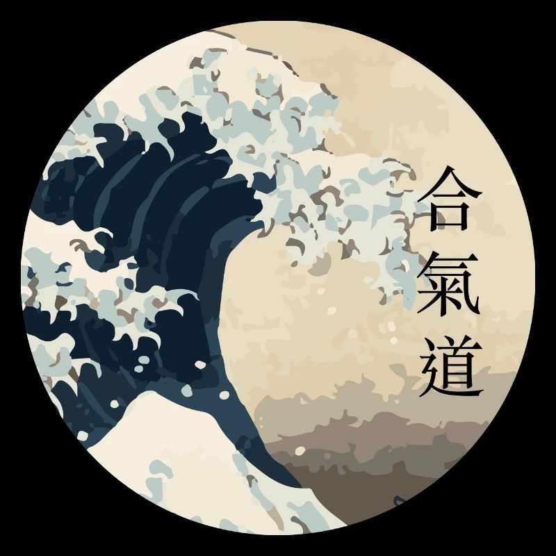 vague aikido cercle