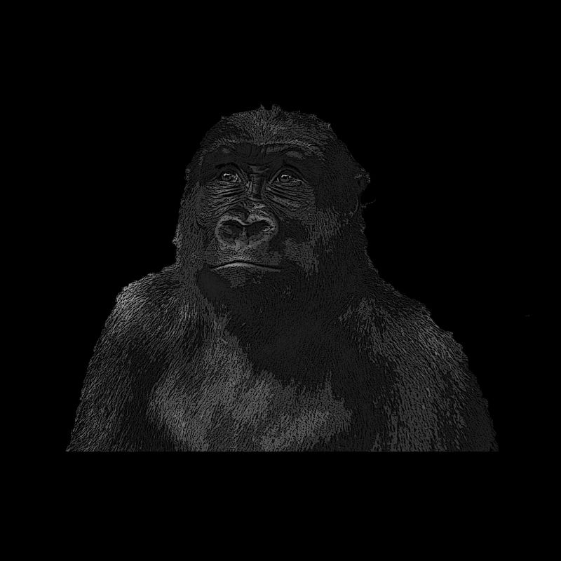 Affe
