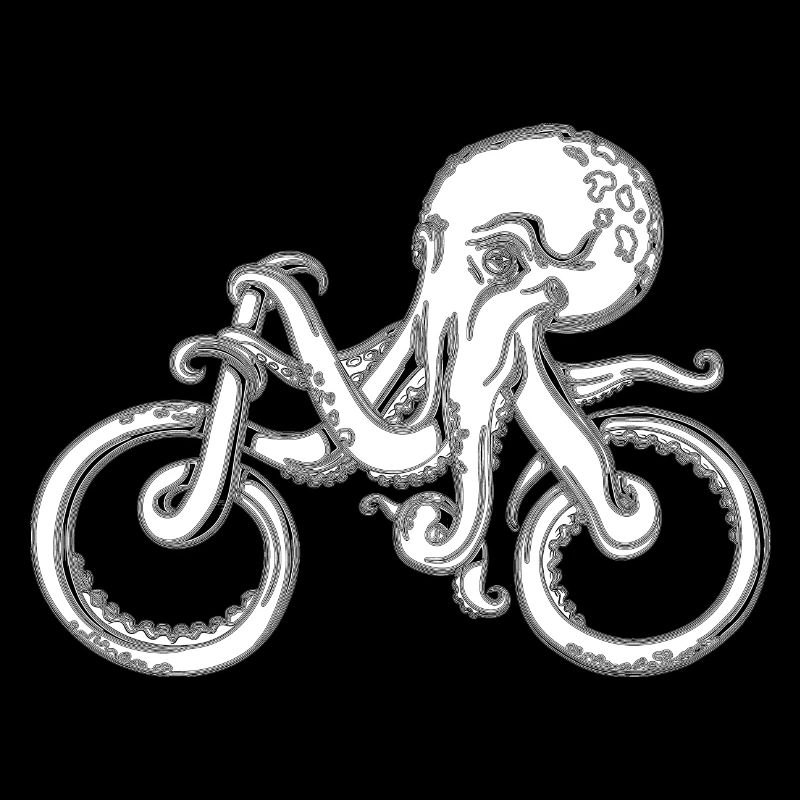 Octopus | Bicycle | Cyclists | Marine animal
