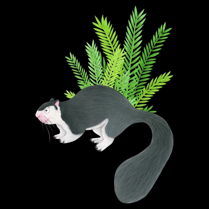 Sri Lanka Giant Squirrel