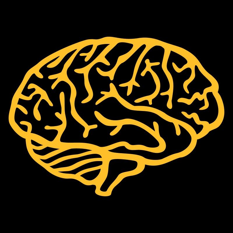 Cerveau