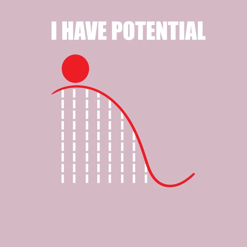Physics nerd pun math potential gifts