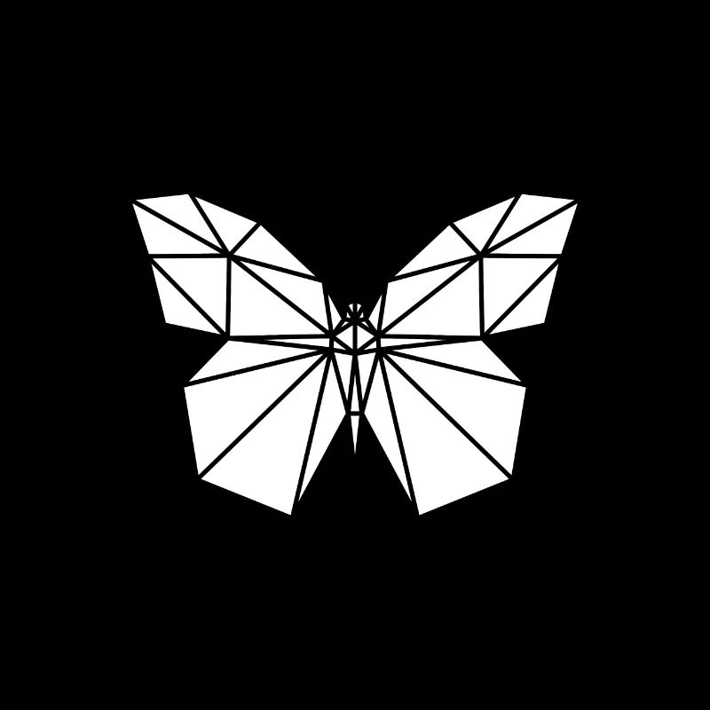 Polygone papillon