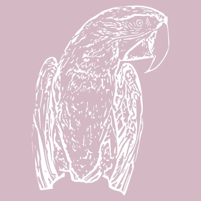 Parrots Bird White