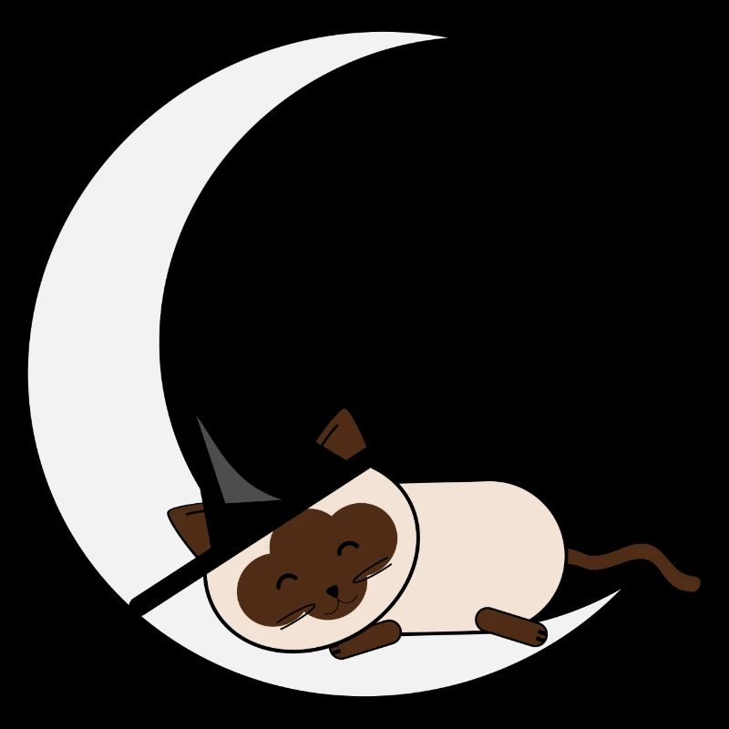 Halloween sur la lune - chat brun