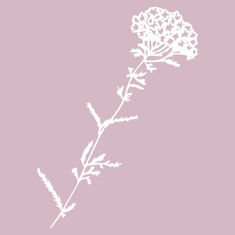 Idée de cadeau de fleur avec fleur en blanc