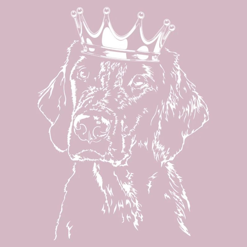 Flat COATED RETRIEVER chien chien chien