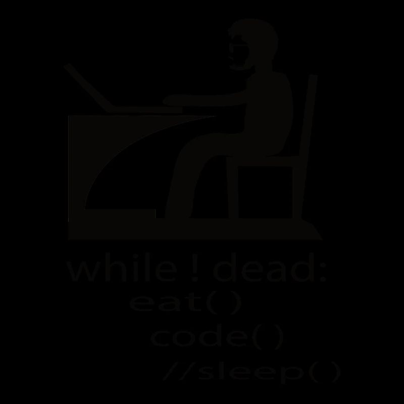 Softwareentwickler Programmierer Geschenk