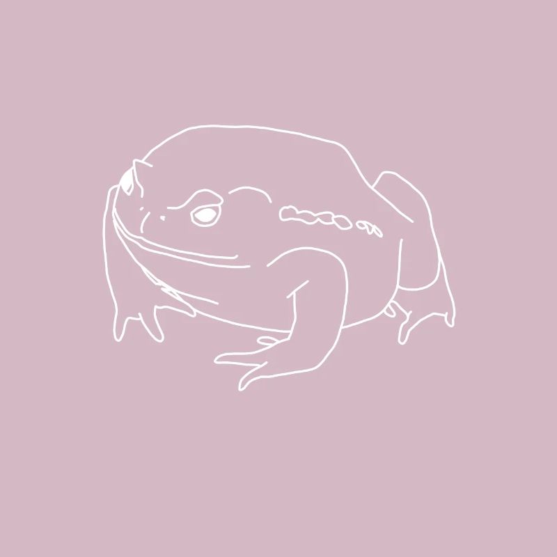 Toad