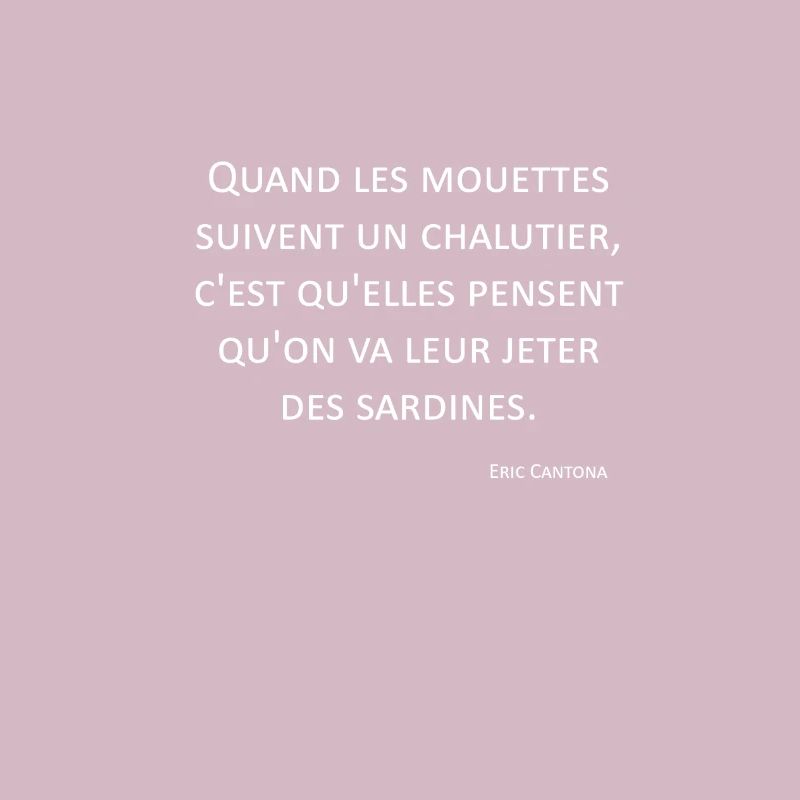 Möwen - Eric Cantona