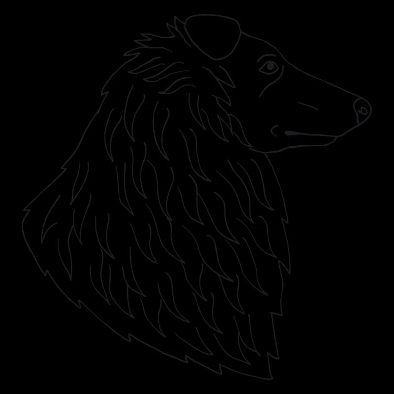 Collie