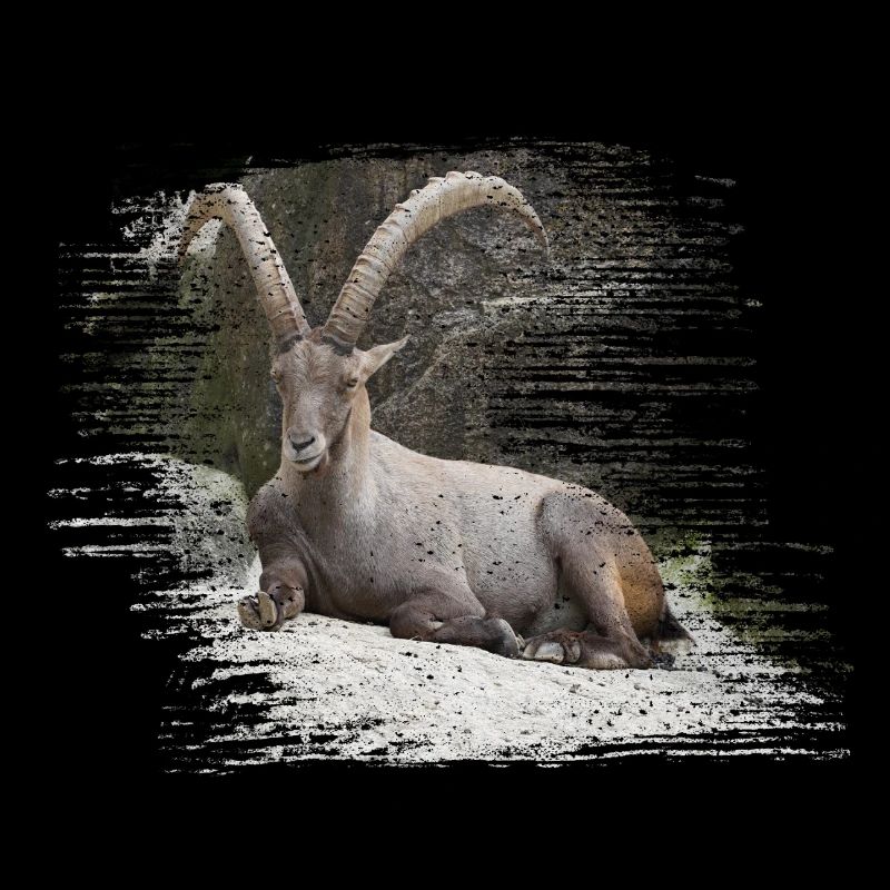 Steinbock als Sternzeichen und Wappentier