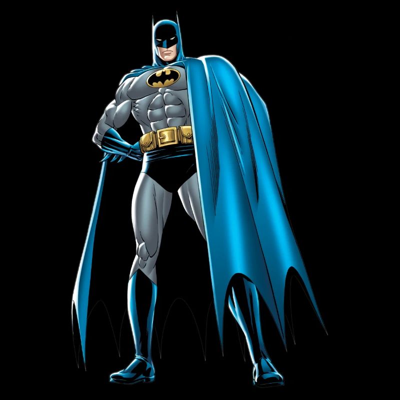 Batman Pose 1 Tee-shirt Ado