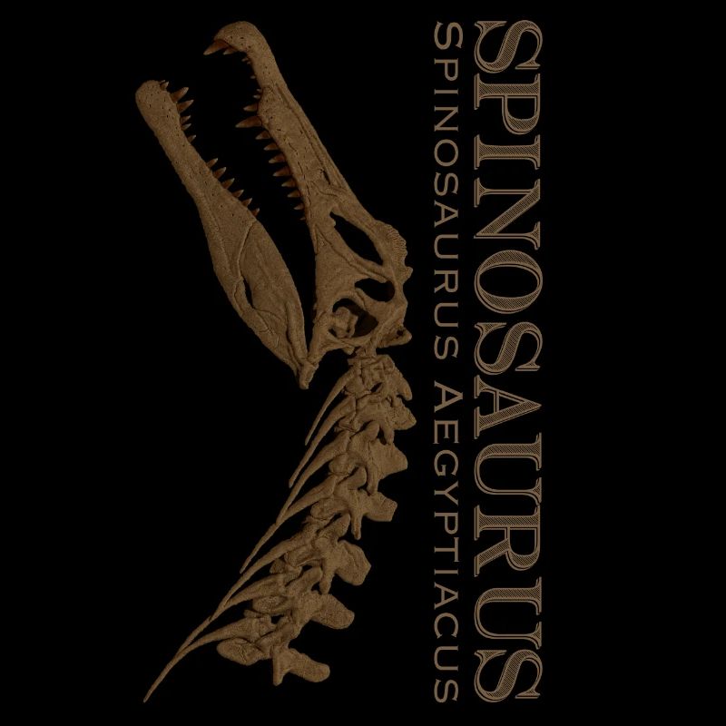 Spinosaurus Schädel brown