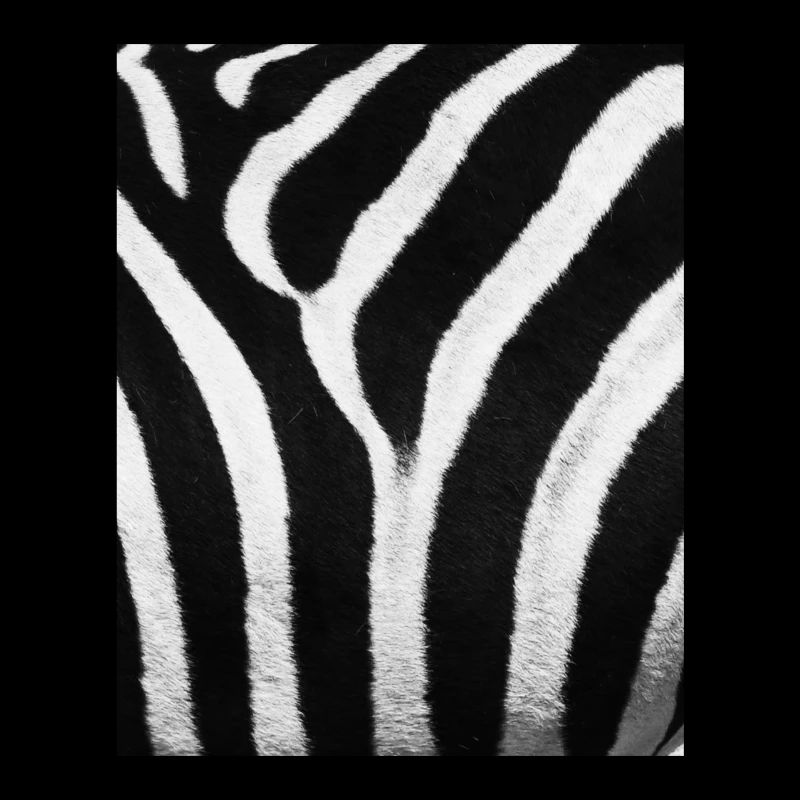 Zebra Fur