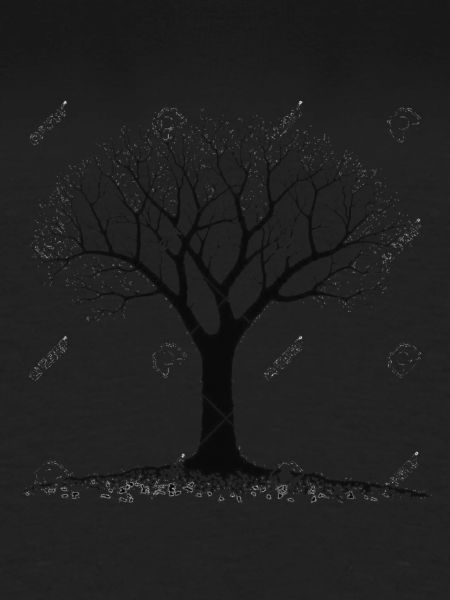Baum