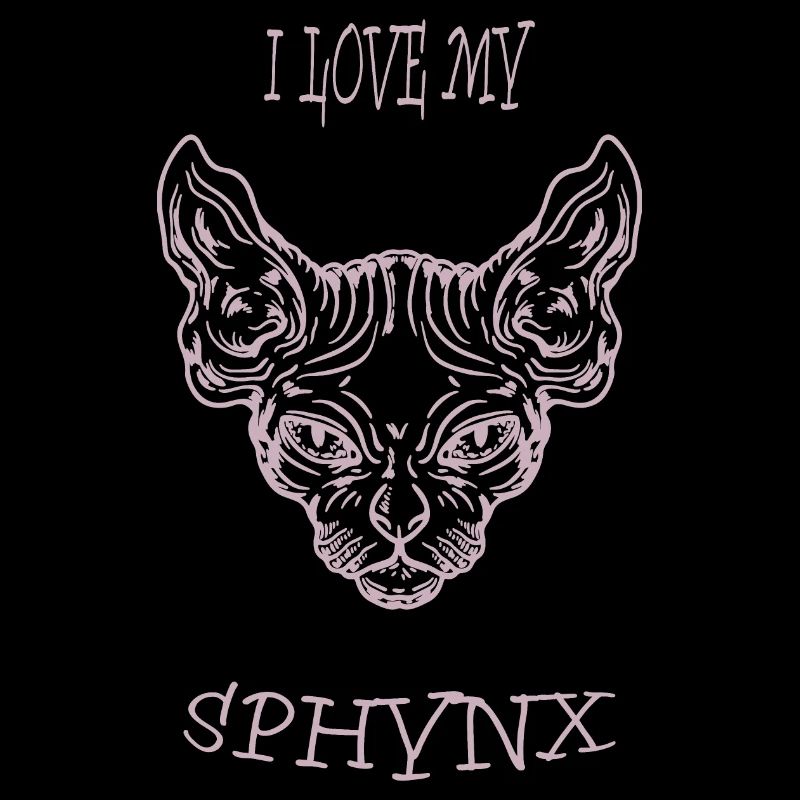 Chat nu Sphynx chat