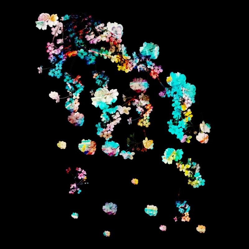 blumen,abstrakt,floral,malerei, blume,ranke