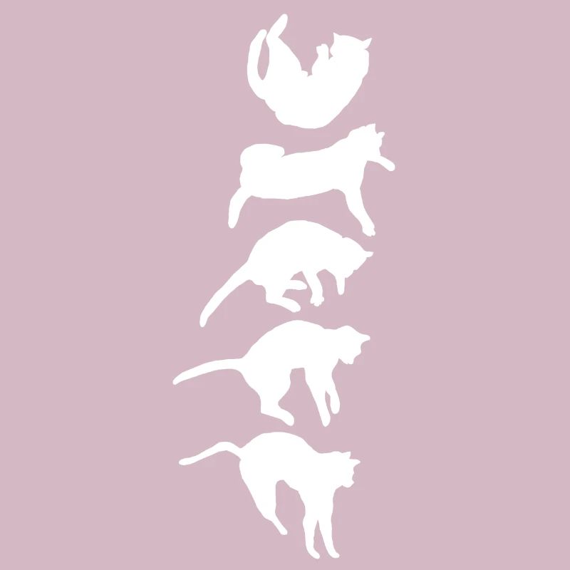 Aufrichtreflex der fallenden Katze