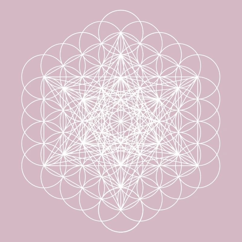 Metatrons blanc cube