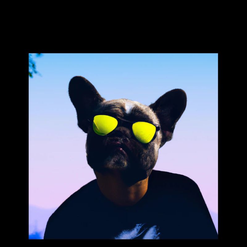 Hund mit Sonnenbrille