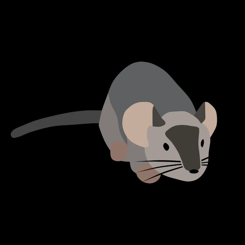 Gray mouse