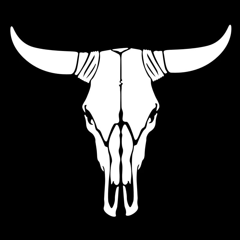 Cow skull