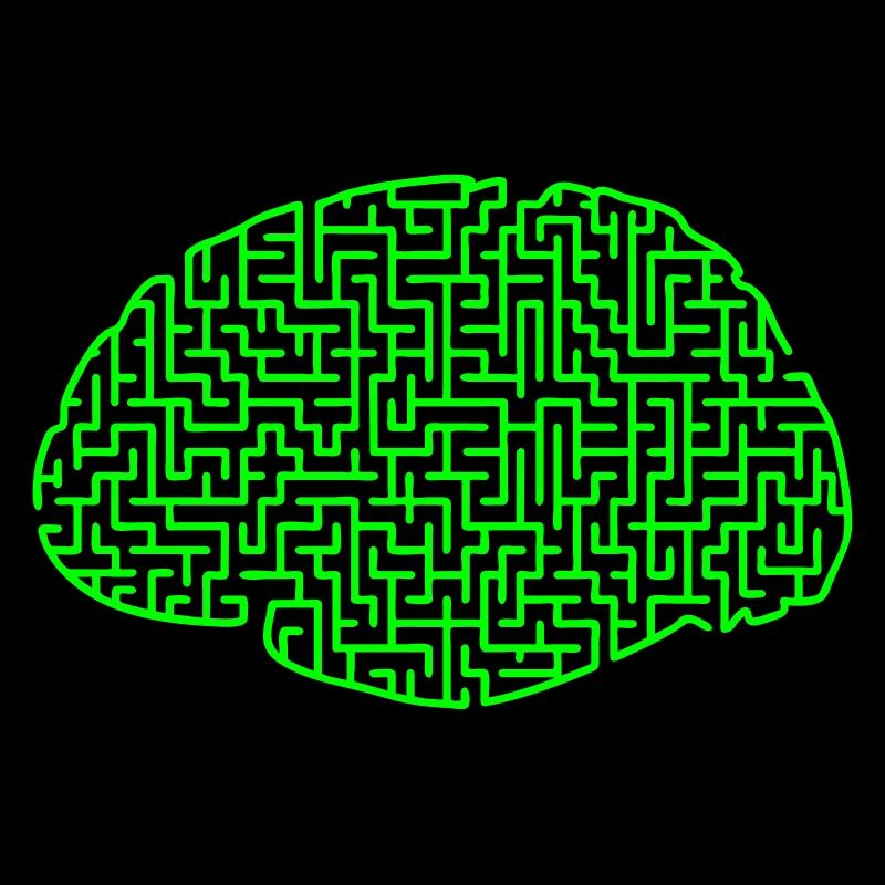 cerveau