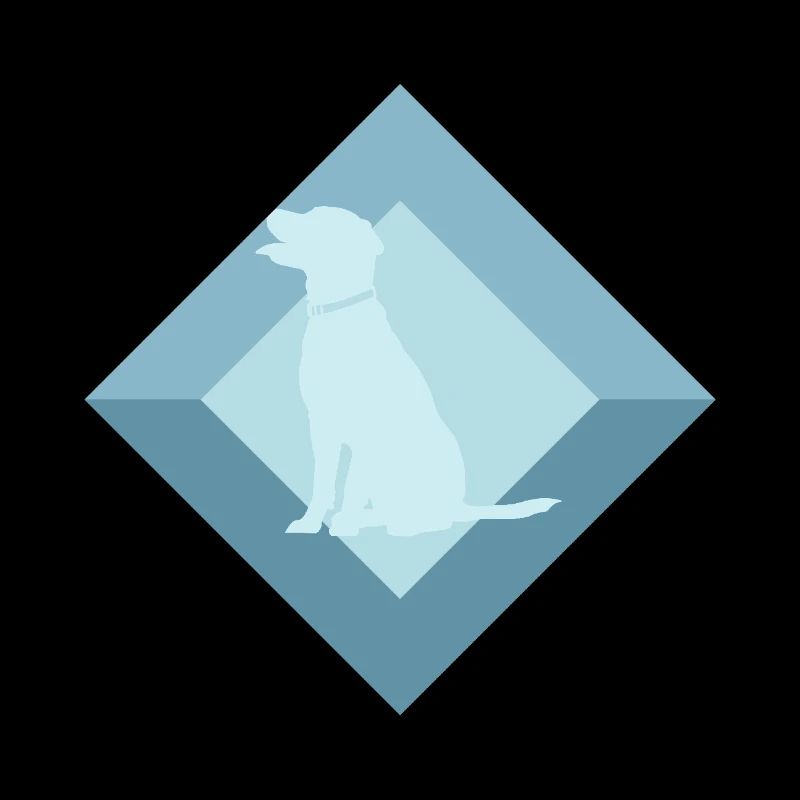 Hundetrainer Hundesport