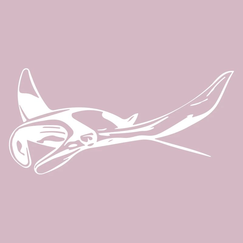 Manta Rochen