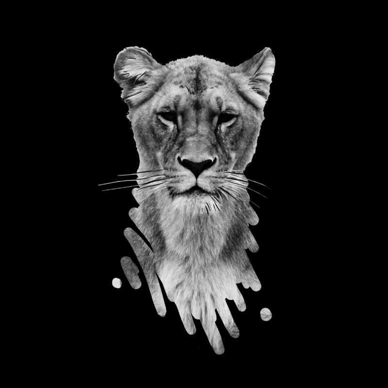 lioness