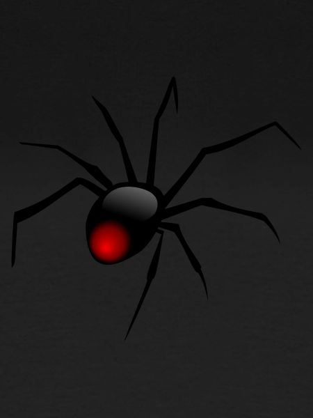 spid 84