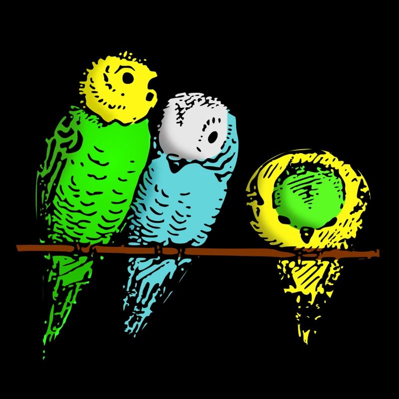 budgies