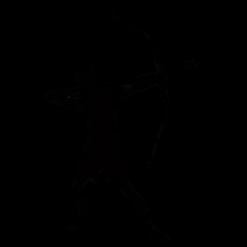 Silhouette d’archer, précise