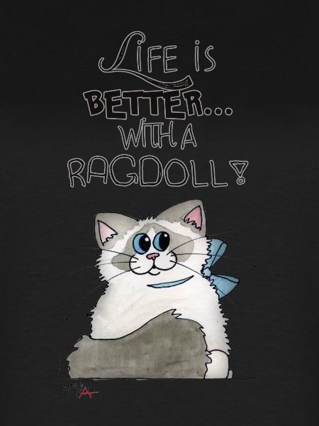 Ragdoll