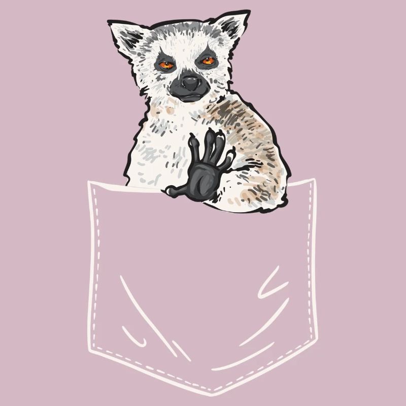 Lemur Catta Ring-tailed lemur