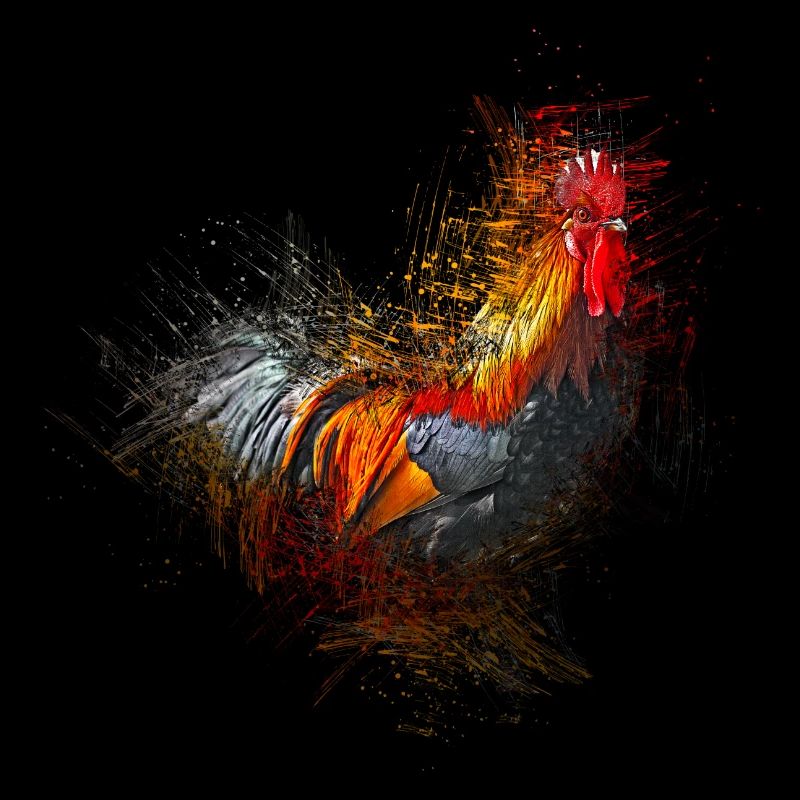 Rooster
