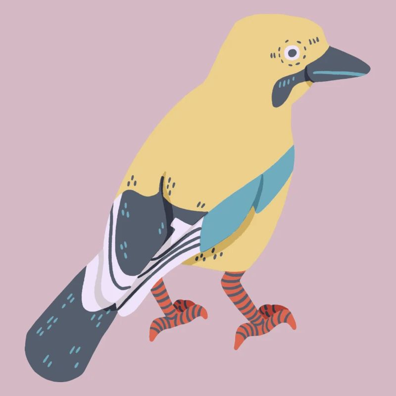 Jay