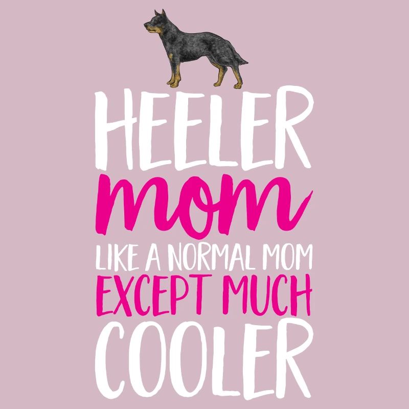 Bouvier australien Red Blue Heeler