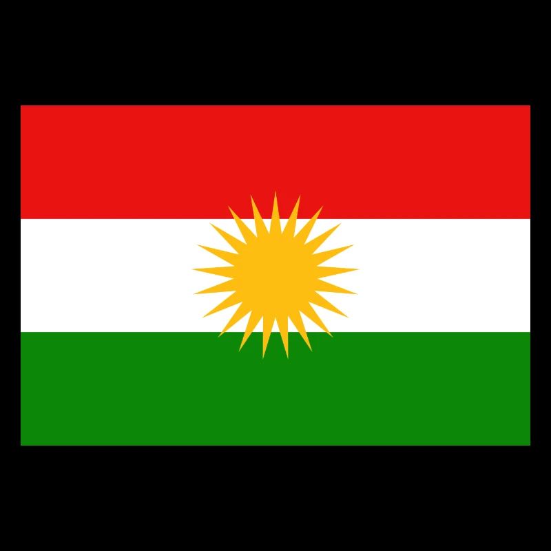Kurdish flag back