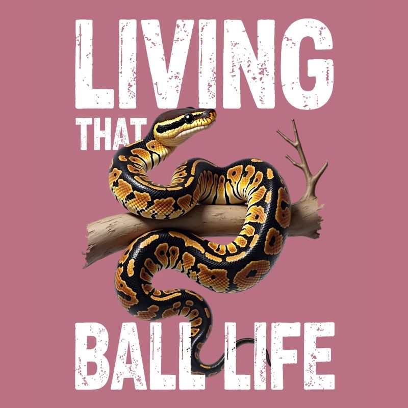 Python roi Serpents Amateurs de terrarium Python