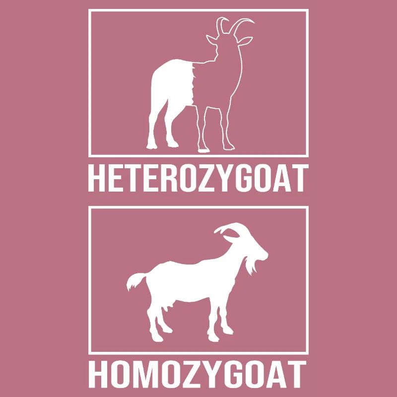 Molecule Structural Formula